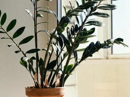 Музыка для медитации чтобы плавно начать утро