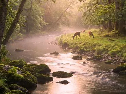 Навыки Концентрации — Положение Тела