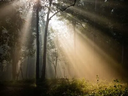 Настройка на хороший день