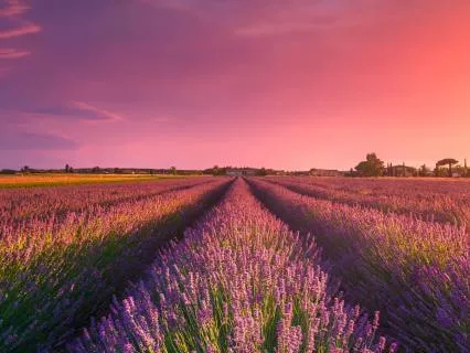 Ночная Медитация Направленная На Отдых И Глубокий Сон