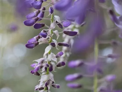 Один день с внутренним ребенком