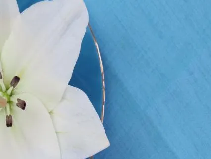 Освобождение от негатива | Исцеляющая практика