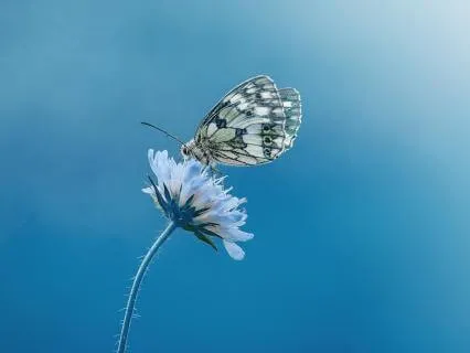 Отпустить Груз Ответственности: Практика Дыхания (12 Минут)