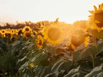 От усталости до вдохновения жить/ Роли и игры