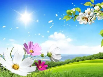 Очистка эмоциональной памяти тела от переживаний прошлого.