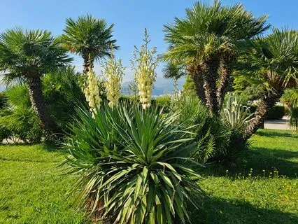 Очищение Денежного Потока Медитация