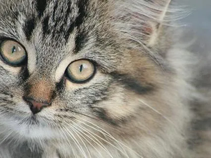 Перепрограммирование подсознания | Тета-практика