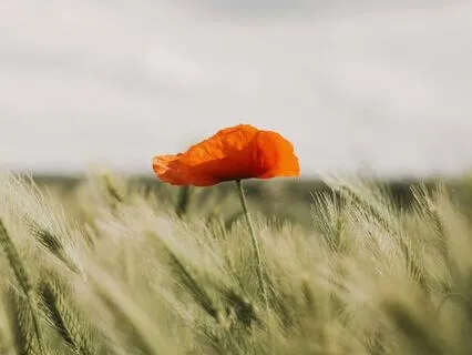 Почему ваши границы нарушаются? Смотри внутри