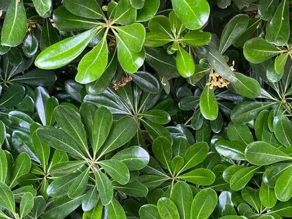 Практика "Безопасное место"