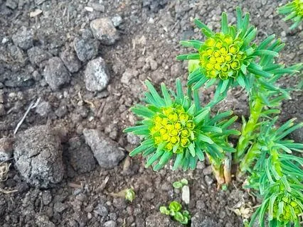 Практика Благодарности 01