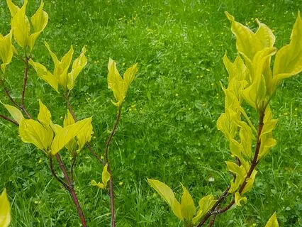 Практика Благодарности 02