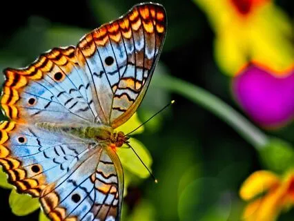 Практика "Путешествие Благодарности"