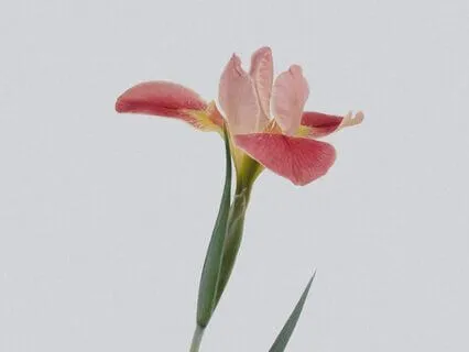 Пространство внутреннего покоя