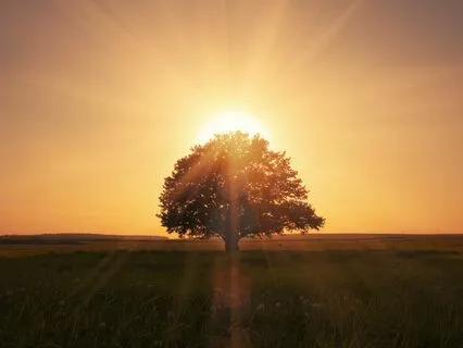 Сильнейшая молитва на Богатство и Процветание Джозефа Мэрфи