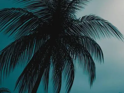 Сны На Берегах Нила. Исида