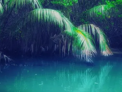 Сны На Берегах Нила. Осирис