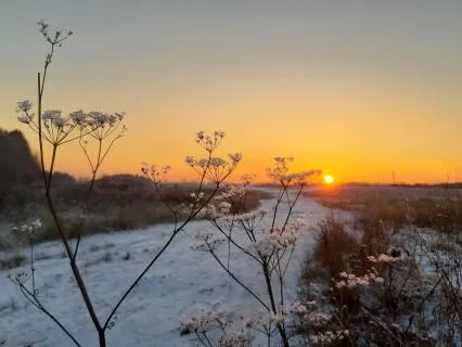 Сон Спокойный Целительный