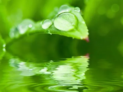 СУПЕР ДЕЙСТВЕННАЯ МЕДИТАЦИЯ НА РАСКРЫТИЕ ЧАКРЫ АНАХАТА