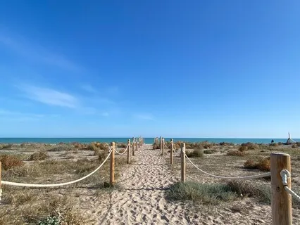 Усвідомленість тіла і дихання