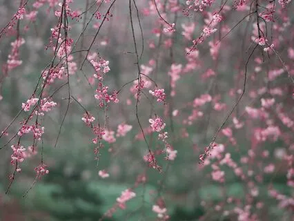 Утренняя Медитация Для Манифестации Желаний 3 Минуты