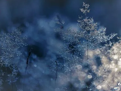 Утренняя Медитация Осознанности Майндфулнесс 3 Минуты