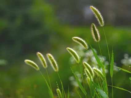 Утренняя медитация 5 минут на визуализацию наилучшего дня