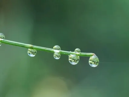 Утренняя Медитация 5 Минут