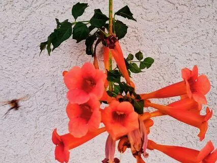 להיות כאן עכשיו