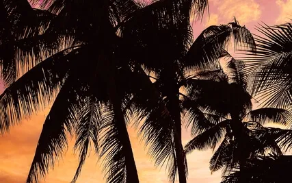 צום מים דמיון מודרך