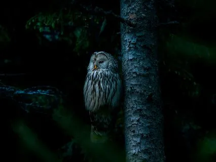 هذه التأمل مُصمَّم للأطفال لمساعدتهم على النوم