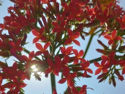 ध्यान और भक्ति का रहस्य: स्वयं से परमात्मा तक
