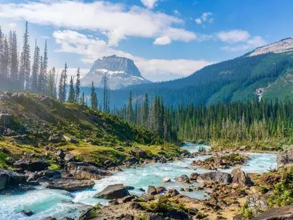 개입을 내려놓는 무위 명상