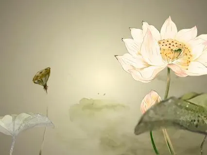 只需停留#1 Just Pause (Mandarin)