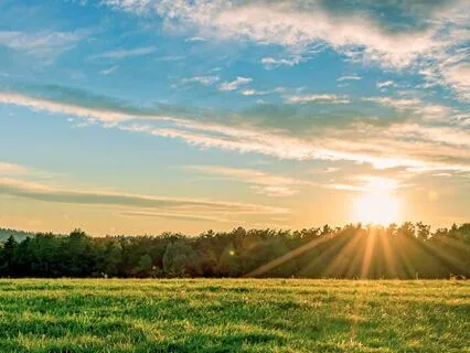 忙しい私たちのためのメディテーションガイド「6分で呼吸と背中の緊張を整える」