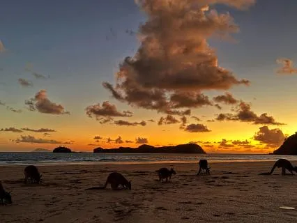 瑜伽睡眠冥想：平衡阴阳，滋养身心