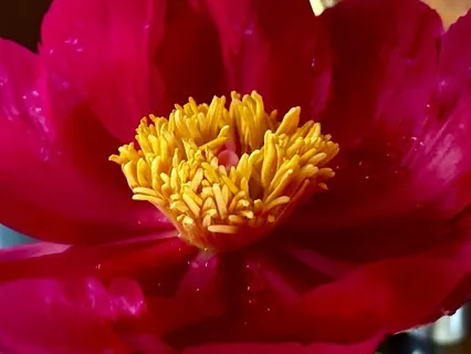 神を科学的に説明できるか？神とエネルギーの類似点について