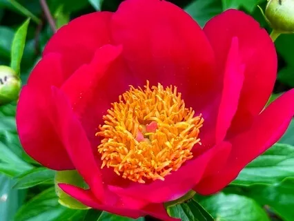 覚醒に関する教えの５つの共通点。