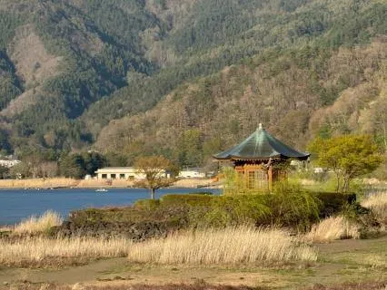 觉察双脚：随时随地找回稳定感