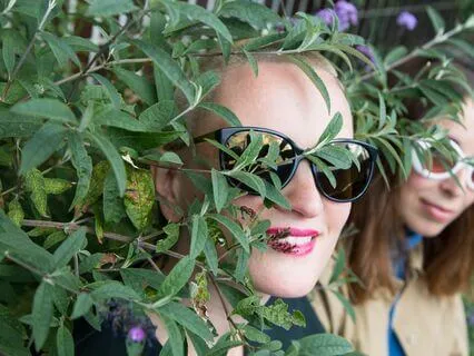 Новые отношения с английским языком