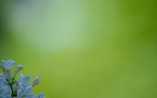 0, 10, 100 Or A 1000