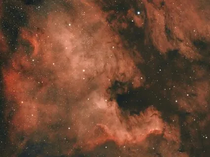 001 • Phoenix Protocol Compilation