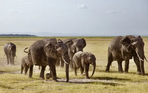 002 - Your Daily Presence