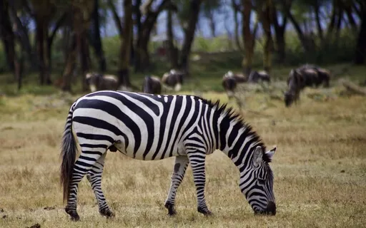 004 - Your Daily Presence