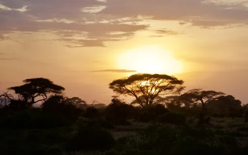 005 - Your Daily Presence