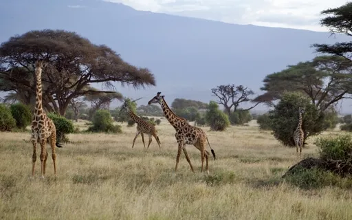 006 - Your Daily Presence