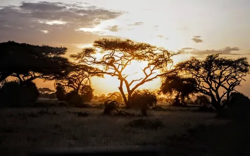 008 - Your Daily Presence