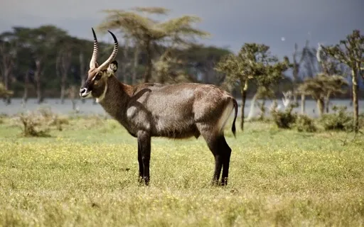 009 - Your Daily Presence