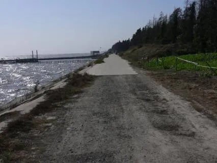 01 | 01 Replacement Soundscapes: Taihu: Day