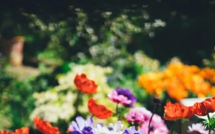 01.09 Happiness: 2 What Is Real-self, Seeker Is Searching