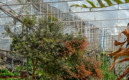 01.30 Happiness: 4 I Am Real Self, A Pure Consciousness 